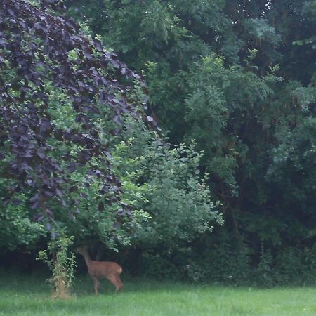 Ringslund B&B Galten Zewnętrze zdjęcie